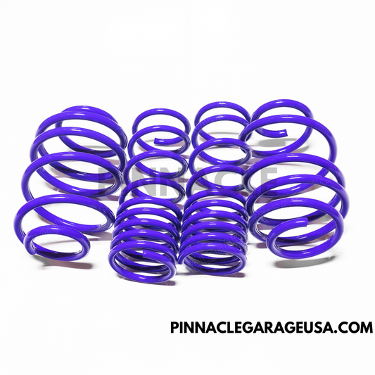 D2 Racing PRO Lowering Springs 2.0"F/2.1"R for 2013-2017 Honda Accord - D-SP-HN-09-1