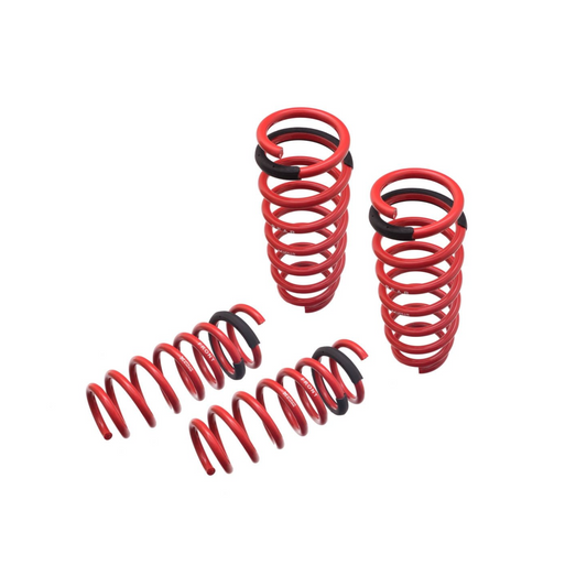 Megan Racing Euro Lowering Springs for 2017-2024 BMW 5-Series G30 G60 (520i/530i/540i)