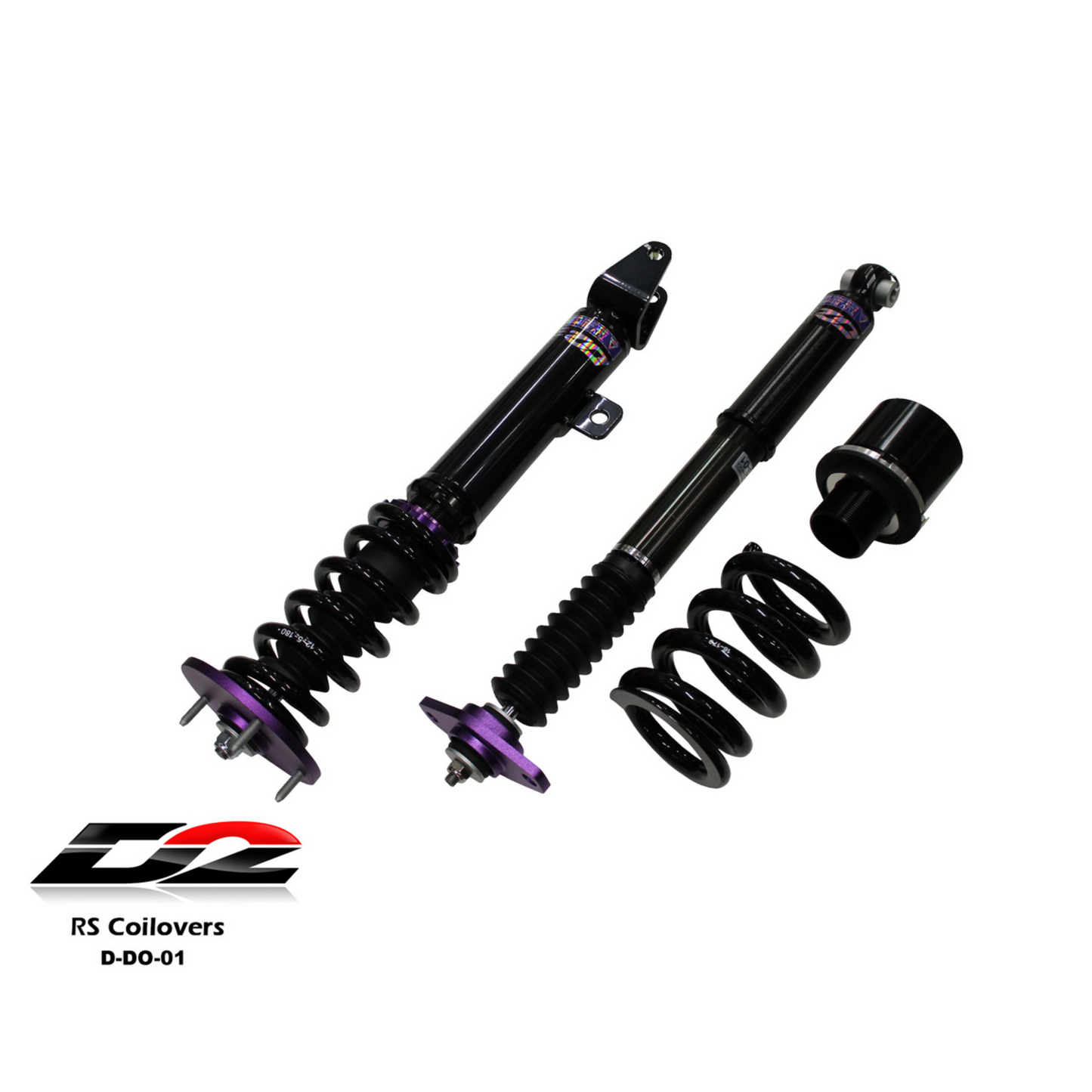 D2 Racing RS Coilovers for 2005-2010 300/CHARGER/MAGNUM (RWD) / 08-2010 CHALLENGER (D-DO-01)