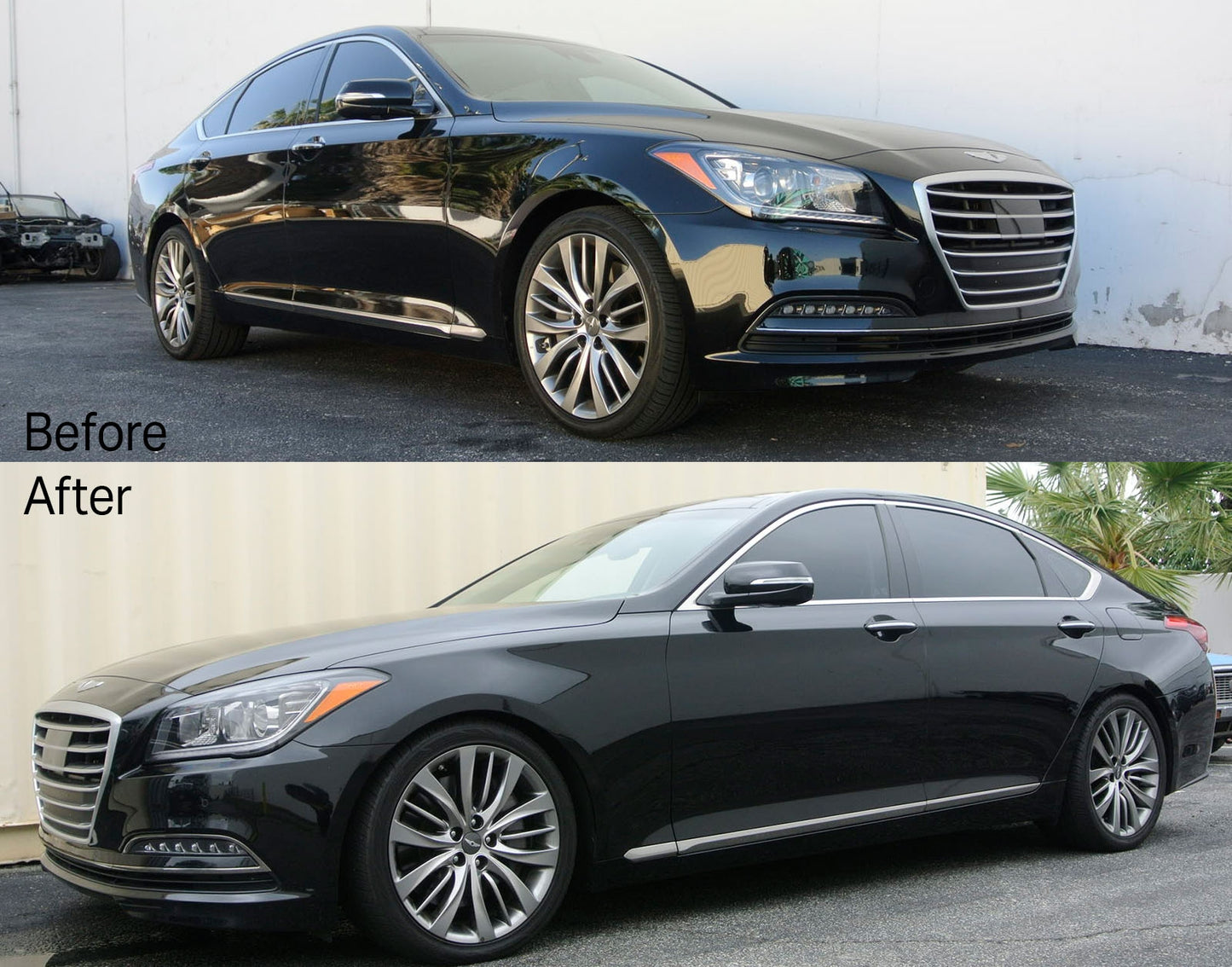 Megan Racing EZ II Series Coilovers for 15-20 Genesis/G80 Sedan RWD