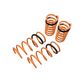 Megan Racing Lowering Springs for 2002-2007 Saturn VUE