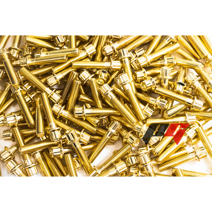 160pcs M6x1x30 Gold 12 Point Wheel Bolts & Nuts for 2/3 Piece Wheels