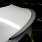 Megan Racing Carbon OE-Type Rear Spoiler for 2017+ Tesla Model 3 - MRC-EXT-TSL317